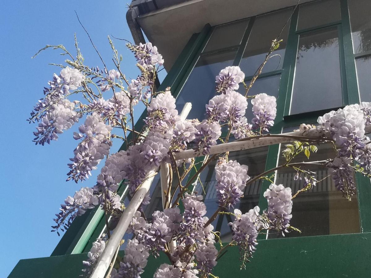 Casadei24 Leilighet Guidonia Eksteriør bilde